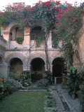 Courtyard of the Camino Real Oaxaca Hotel  Bougainvillea and Garden  Mexico