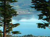 View From Larnach Castle  Oamaru  New Zealand