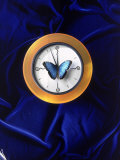 Butterfly on Top of Clock