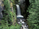 Waterfall and Lush Foliage  Mt Rainier National Park  Washington  USA