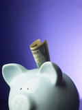 Piggy Bank of Childhood