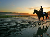 An Unidentified Horse and Rider on the Track at Sunrise at Belmont Park