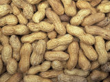 Peanuts in Shell  Washington  USA