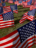 Grassy Field with American Flags Stuck in Ground