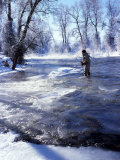 Flyfishing in Provo River on Cold Morning  Wasatch Mountains  near Heber  Utah  USA