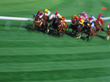 Horses Racing Around Track