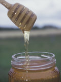 Honey Dripping from Wooden Spoon Into Jar