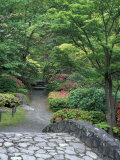 Japanese Garden Stone Bridge in Washington Park Arboretum  Seattle  Washington  USA