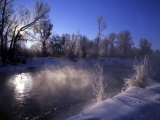 Rimed Trees and Morning Fog on Provo River  Wasatch Mountains  Utah  USA