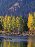 Autumn Color on the Methow River  Washington  USA