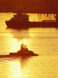 Tugboat at Dawn  Elliott Bay  Seattle  Washington  USA