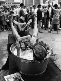 Protesters Sit in Bath Tubs and Read the Satirical Newspaper 