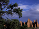 Fiery Furnace Fins  Arches National Park  Utah  USA