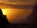 Sea Stacks at Sunset  Olympic National Park  Washington  USA