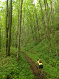 Mountain Biker on Props Run  a Single Track Trail