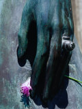 Detail on Tomb of Liliana Crociati De Szaszak  Recoleta Cemetery  Recoleta  Buenos Aires  Argentina