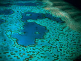 Overhead of Heart Reef  Great Barrier Reef  Australia