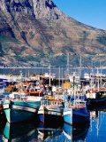 Fishing Boats in Hout Bay Marina  Cape Town  South Africa