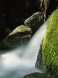 Creek Rushing Over Moss-Covered Stones