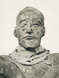 Rameses III Pharaoh Photograph of the Head of His Mummy