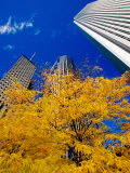 Aon and Prudential Towers  Chicago  United States of America