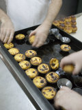 Fresh Portuguese Tarts at Antiga Confeitaria De Belem  Lisbon  Portugal