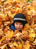 Child Playing in Leaves in Kadriorg Park  Tallinn  Estonia