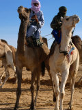 Two Taureg Men on Camels at Sahara Festival  Douz  Tunisia