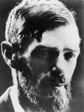 D H Lawrence English Novelist