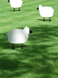Sheep on Lawn as Decoration  Perfect Striped Lawn