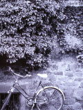 Bike and Wall  Heidelberg  Wurttemberg  Baden  Germany