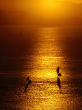 Boats at Sunset  Whitsunday Islands National Park  Australia