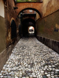 Pedestrians on Cobbled Lane off Ribji Square  Ljubljana  Slovenia