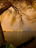 City Lights across Lake Rotorua  Rotorua  Bay of Plenty  North Island  New Zealand