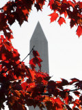 The Washington Monument Surrounded by the Brilliant Colored Leaves