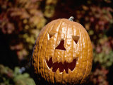 The Toothy Grin of a Halloween Jack-O-Lantern with Seasonal Backdrop