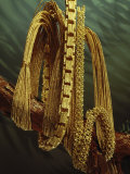 Three Restored Chains Drape a Branch