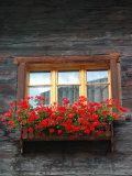 Window Box with Flowers  Zermatt  Switzerland