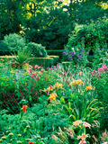 Large Cottage Style Garden  with Colourful Herbaceous Borders