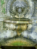Small Classical Lion Head Water Spout into Stone Urn and Pool  Bowood House  Wiltshire