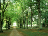 Cranborne Manor  Dorset  UK