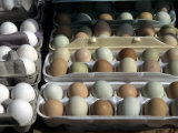 Fresh Farm Eggs are on Display at a Farmers Market in Madison  Wisconsin  United States