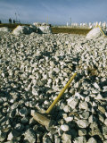 Sledgehammer in a Field of Rock Being Busted by a Prison Chain Gang