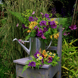 Summer Still Life