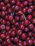 Flathead Sweet Cherries  Montana  USA