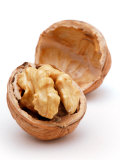 Juglans (Californian Walnut)  Close-up of Single Open Nut