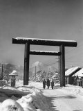 Sapporo in the Winter