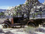 Old Truck in the Harsh Desert of Joshua Tree National Park  California  USA