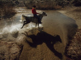 Rider Retraces the Original Pony Express Route Through Nevada