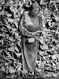 Detail of the Skeleton of a Capuchin Monk